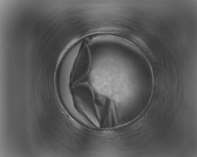 X0000067511180200604211743