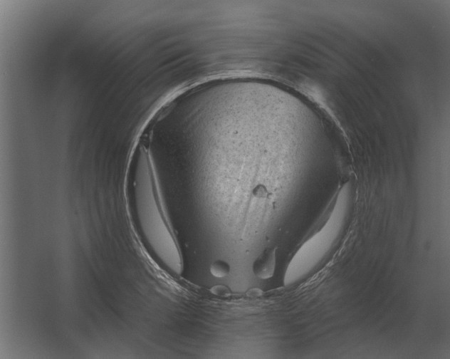 X0000067511181200604211743