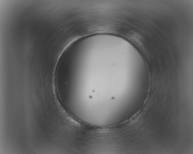 X0000067511182200604211743