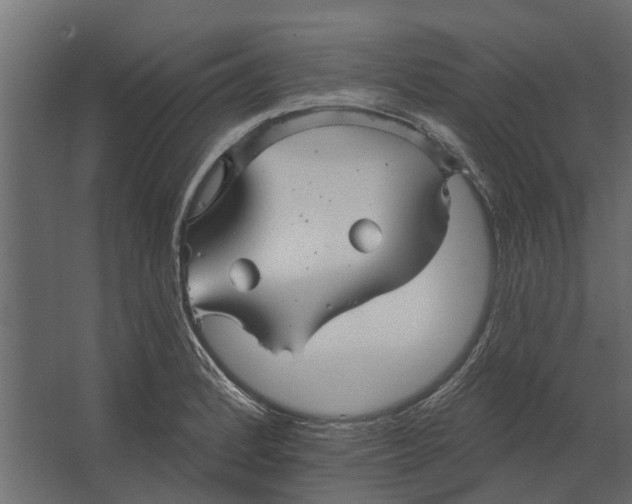 X0000067511184200604211743