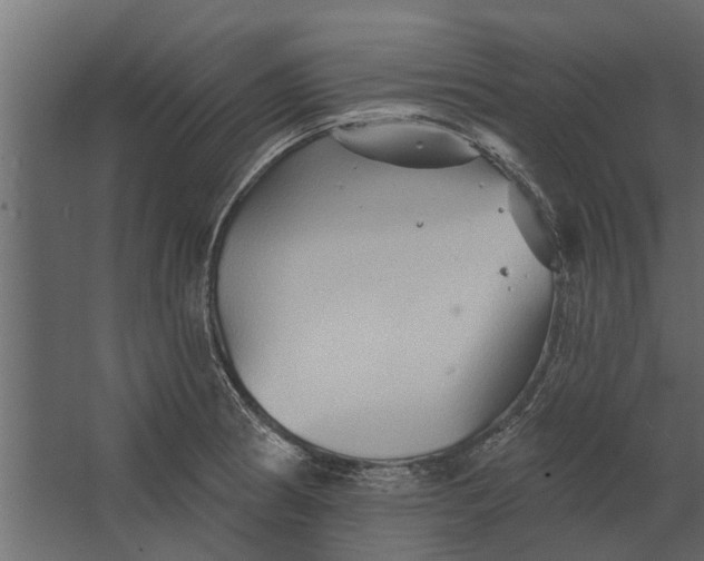 X0000067511186200604211743