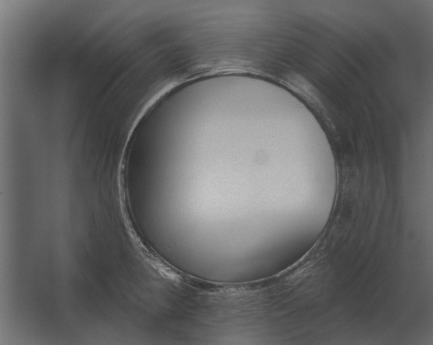 X0000067511190200604211743