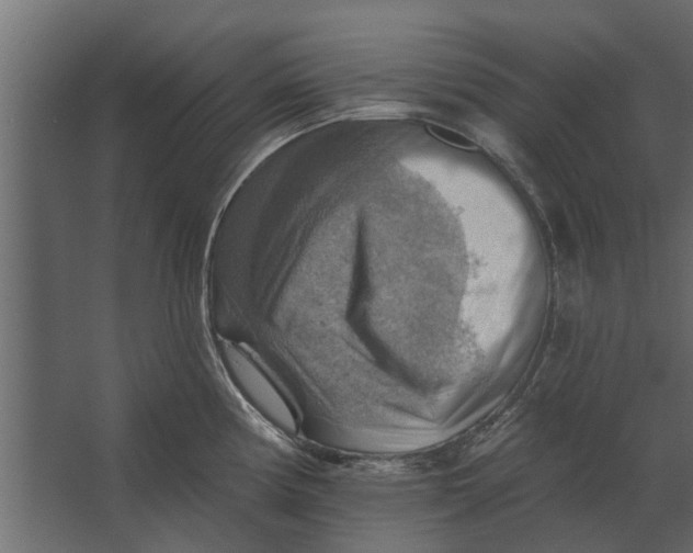 X0000067511194200604211743