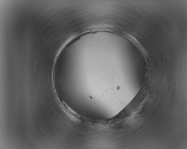 X0000067511196200604211743