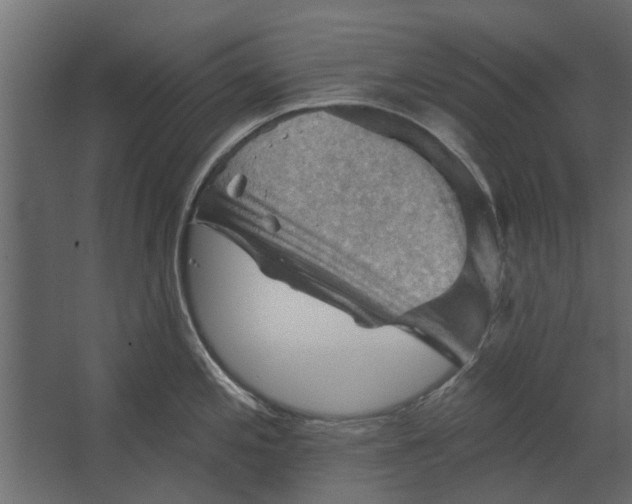 X0000067511197200604211743