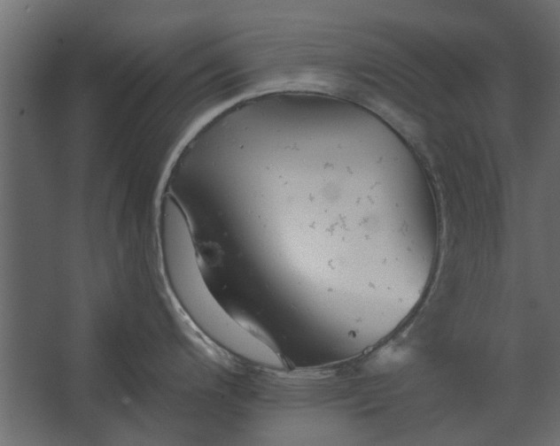 X0000067511200200604211743