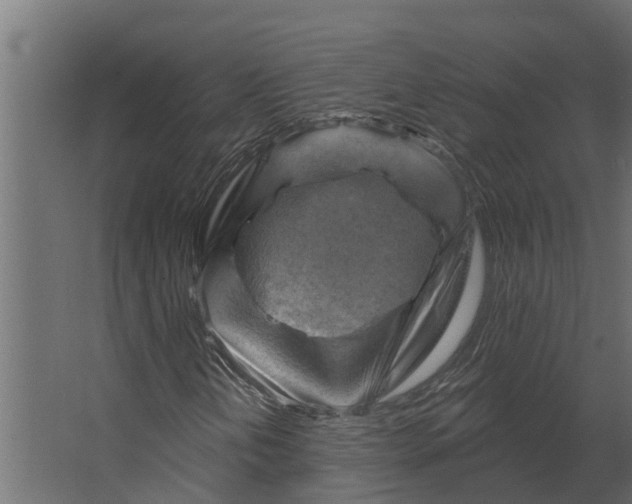 X0000067511202200604211742