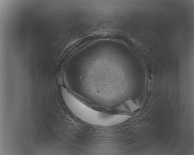 X0000067511206200604211742