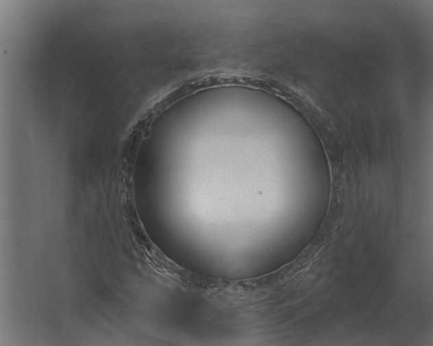 X0000067511207200604211742