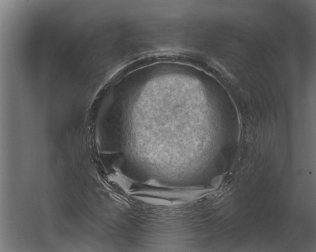 X0000067511208200604211742