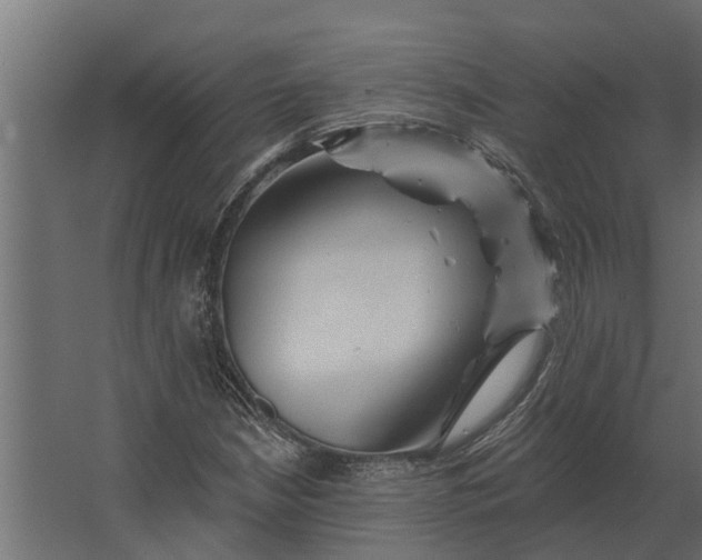 X0000067511210200604211742