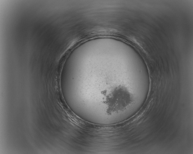 X0000067511211200604211742