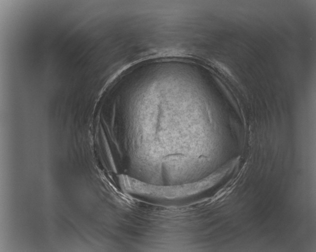 X0000067511212200604211742