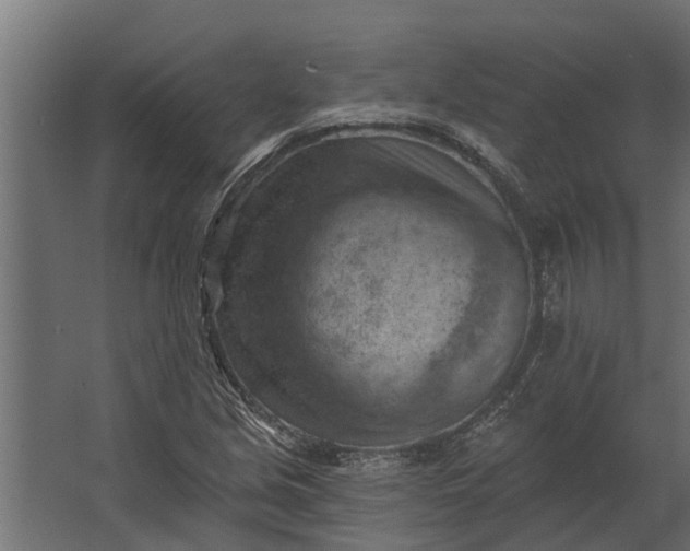 X0000067511213200604211742