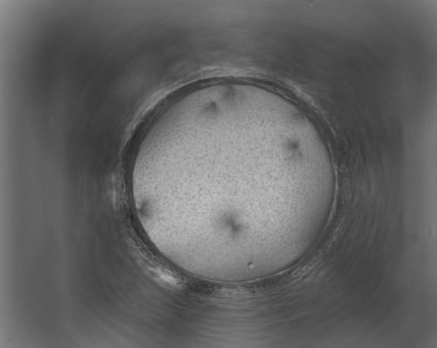 X0000067511215200604211742