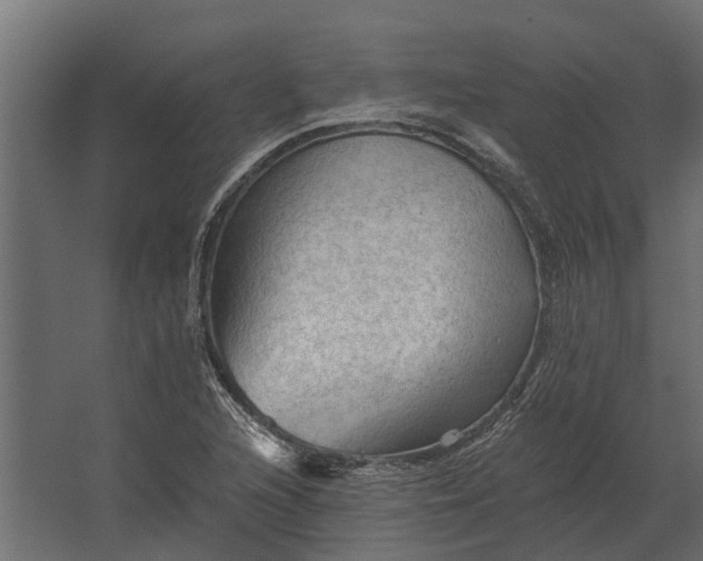 X0000067511216200604211742