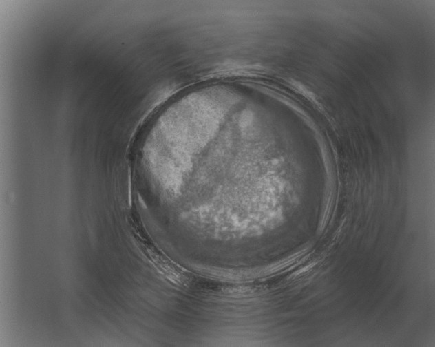 X0000067511219200604211742