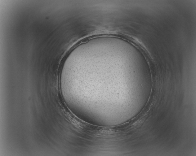 X0000067511220200604211742