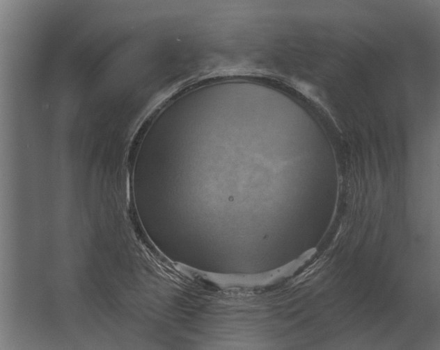 X0000067511221200604211742