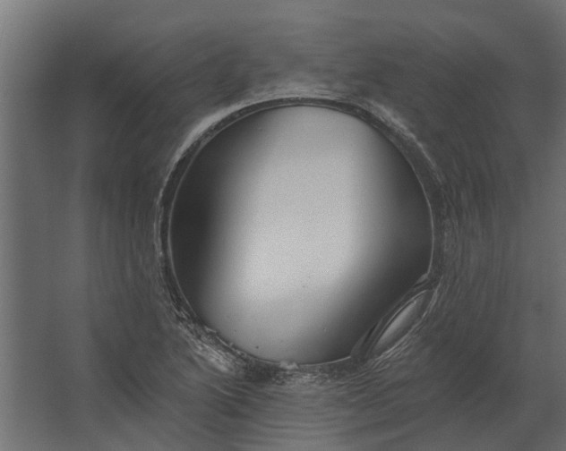 X0000067511222200604211742