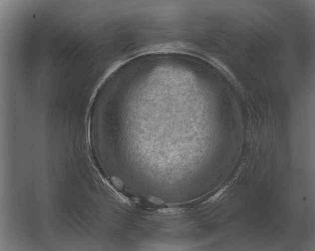 X0000067511224200604211742