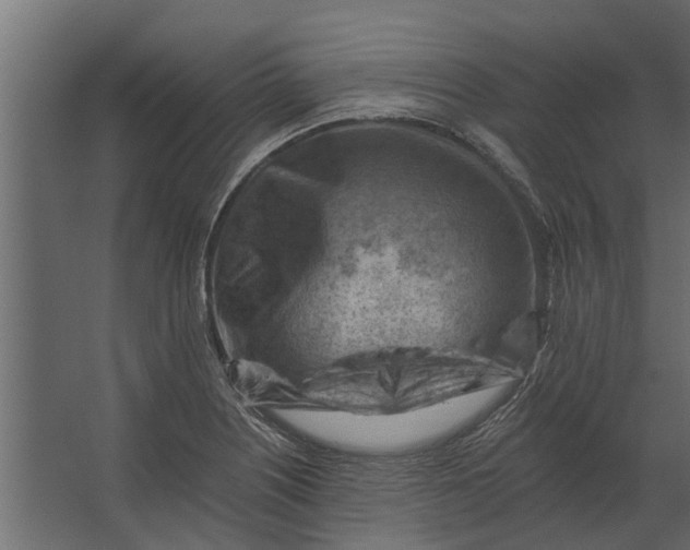 X0000067511226200604211742