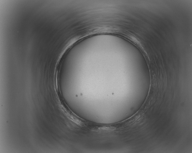 X0000067511227200604211742