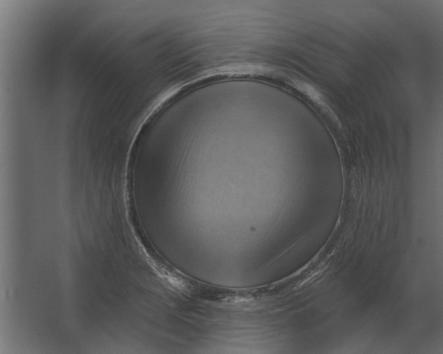 X0000067511229200604211742