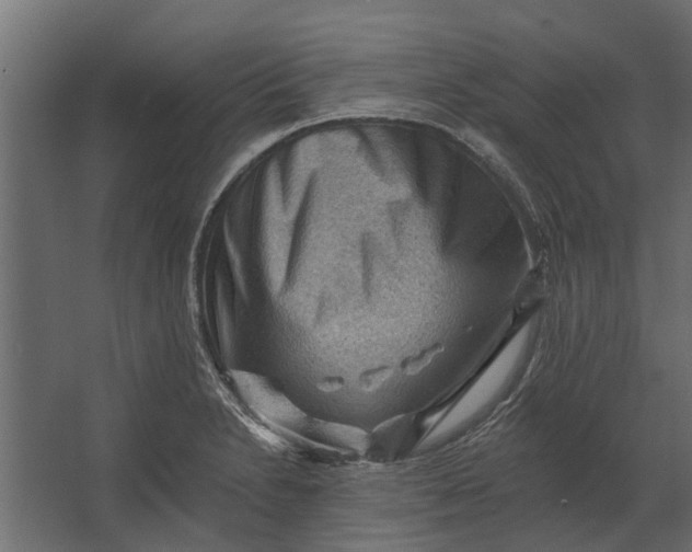 X0000067511230200604211742