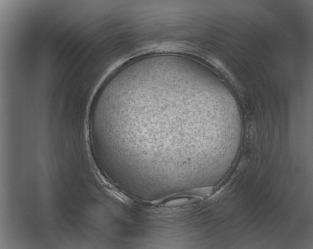 X0000067511232200604211742