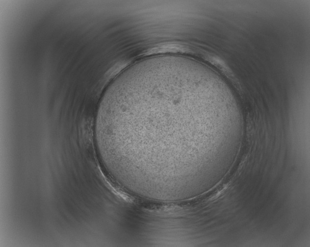 X0000067511233200604211742