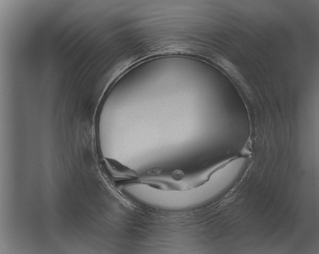 X0000067511234200604211742