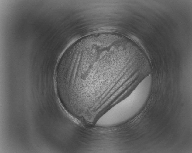 X0000067511235200604211742