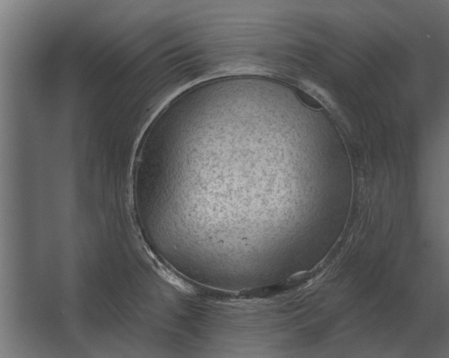 X0000067511236200604211742