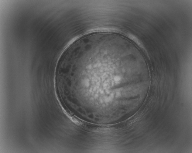 X0000067511237200604211742