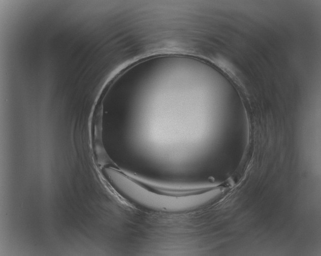 X0000067511238200604211742