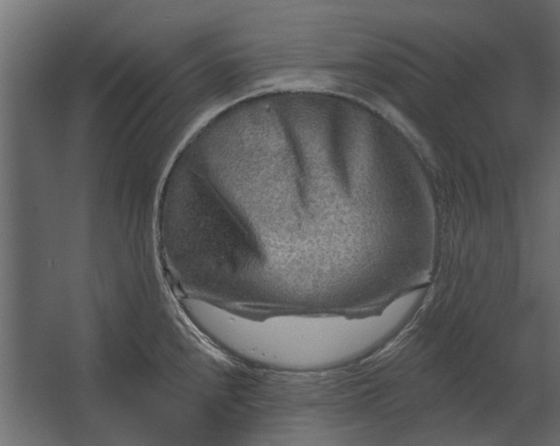 X0000067511240200604211742