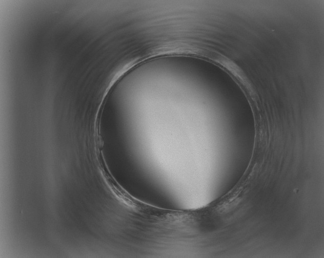 X0000067511242200604211742