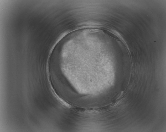 X0000067511243200604211743