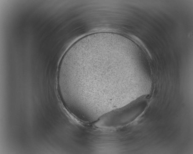 X0000067511244200604211743