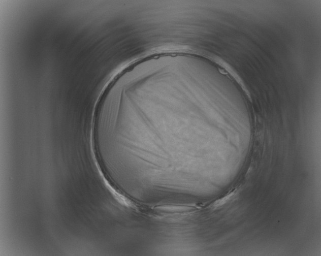 X0000067511245200604211743