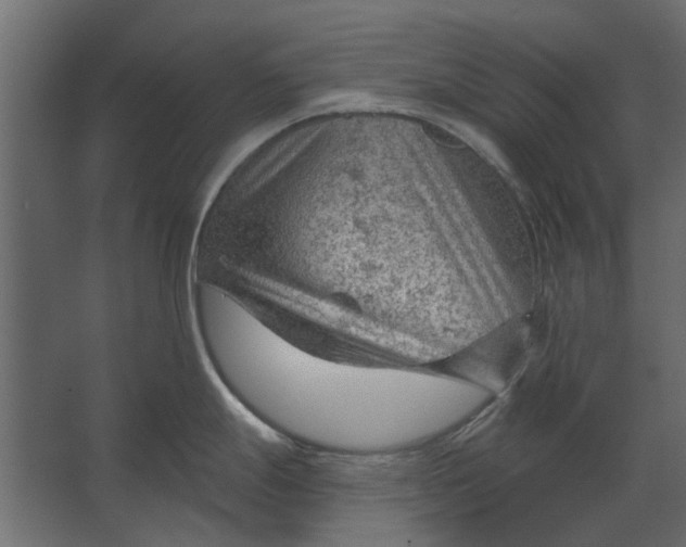 X0000067511247200604211743