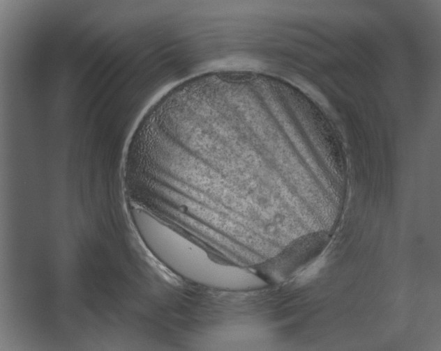 X0000067511248200604211743