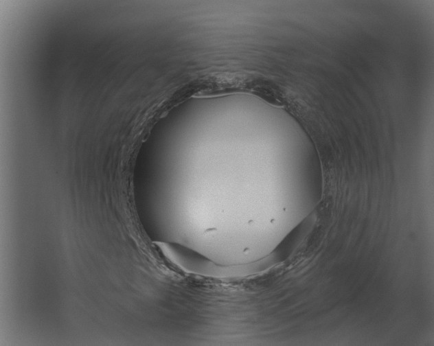 X0000067511249200604211742