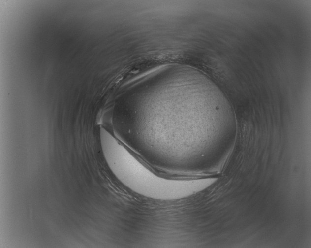 X0000067511250200604211742