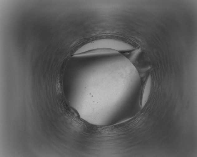 X0000067511252200604211742