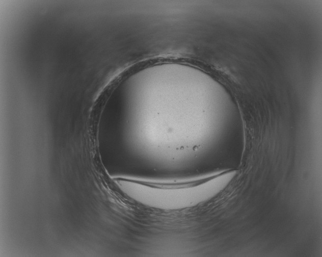 X0000067511256200604211742