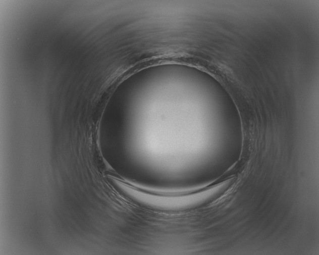 X0000067511257200604211742