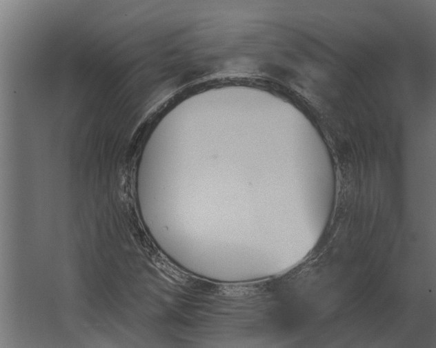 X0000067511258200604211742