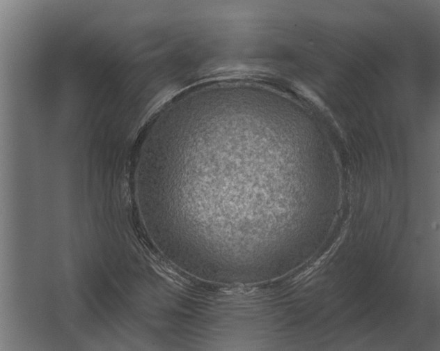 X0000067511259200604211742